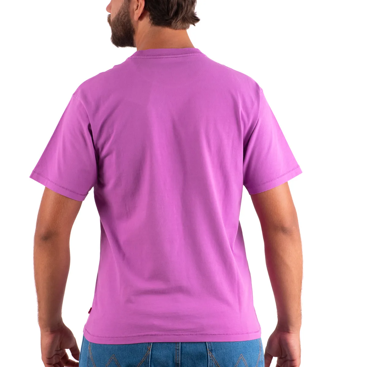15243612229-camiseta-levis-masculina-501-87373-0063-4337-3-7e61a303dbafadd8369932504b7aad2e.webp